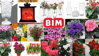 BİM de ANTORYUM YENİDEN SATIŞTA BİM 14 MART AKTÜEL ÜRÜNLERİ