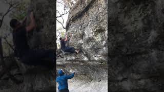Zen V5  Rogers Park