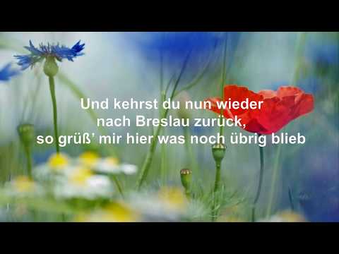 Das alte Odertor. Der Montanara Chor, mit Text (HD)