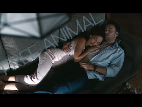 Multifandom│Free Animal