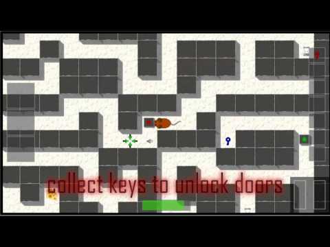 The Mouse Labyrinth Video