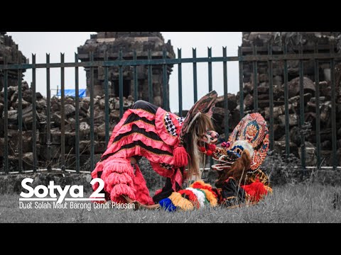 🔵SOTYA 2 (Gandhewa Tresna) || COVER TIKACYA - Cipt. Dru Wendra