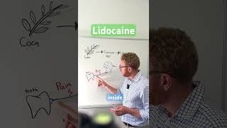 Lidocaine | The safer child of #cocaine