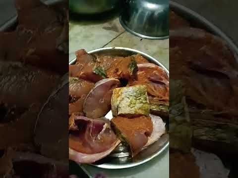 katla 🐟 fish catching from Narmada river #caty#tasty#shorts...