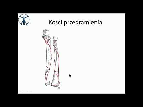Obrzęk w mięśniach czworoboczny Szkolenia w celu zwiększenia masy mięśniowej