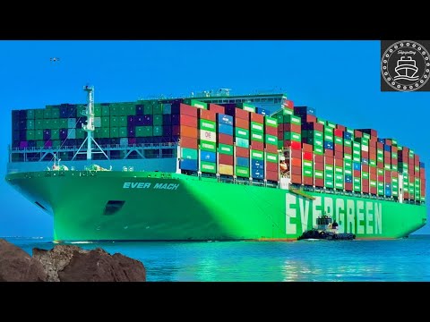 4K SHIPSPOTTING 2024 AT LOS ANGELES PORT ARRIVALS AND DEPARTURES - November 2024