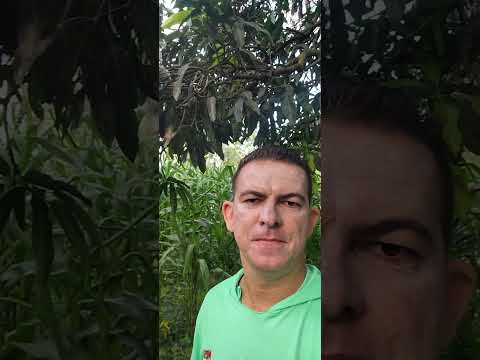 #comunidade de poção município de Catolândia -bahia