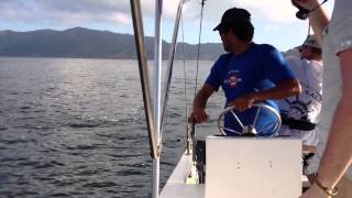 preview picture of video 'Deep Sea Fishing in Costa Rica'