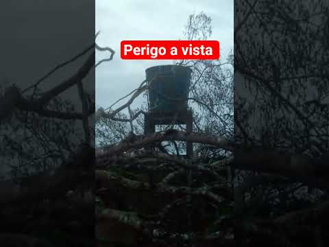Perigo a vista na Comunidade Aldeia 2 Inhambupe Bahia