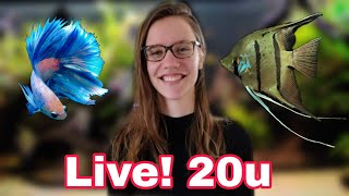 LIVE: 20u Alles over SNOEIEN + wat zijn jullie AQUARIUM vragen?! //Nickey//