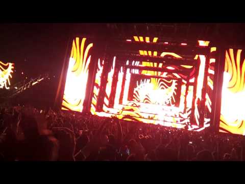 Knife Party - Save the World (remix) LIVE at EDC Las Vegas 2012!