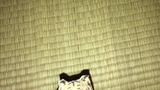 干支チャンネル だ〜れだ？