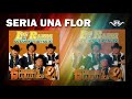 SERIA UNA FLOR - Los Razos de Sacramento y Sacramento