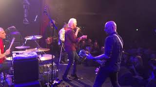 RADIO BIRDMAN at Alhambra // What Gives