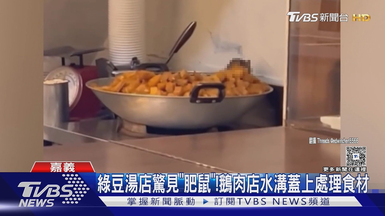 影音/綠豆湯店驚見「肥鼠」!鵝肉店水溝上處理食材 業者道歉了