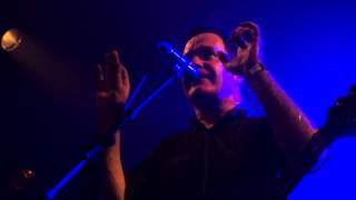 The Wedding Present "Nobody's Twisting Your Arm" (Point Ephémère, Paris / 22.11.2014)