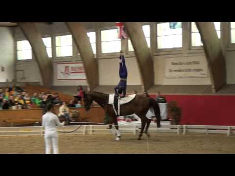 CVI Bern 2015 - Céline Hofstetter SUI (CVI3*)