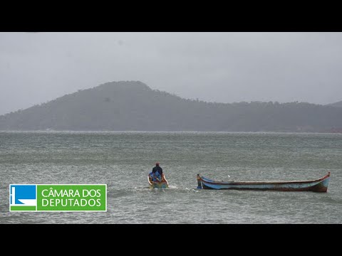 Direitos Humanos e CME - Instalação de termelétricas a gás na Baía de Sepetiba (RJ) - 03/08/22