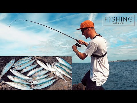 HOW TO CATCH MACKEREL ON LIGHT GEAR - PLUS FEATHERS | SHORE FISHING FOR MACKEREL