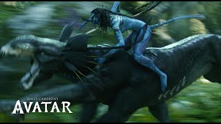 Avatar (2009) Video