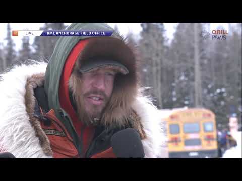 Destaques do Iditarod 2020 de TODOS OS DIAS | QRILLPAWS 2020