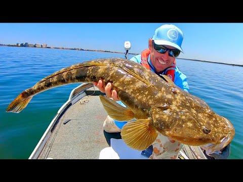 CATCHING GIANT FLATHEAD on Soft Glides