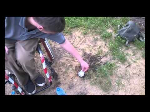 "ŚLIMAK NA DZIKO" - parodia Makłowicza