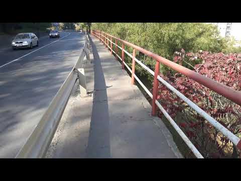 BOBA VIDEO BLOG (ĆASKALICA) - Upijanje toplotne energije ■ poslednji trzaji miholjskog leta ■