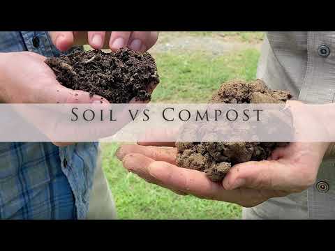 Compost versus Soil: What's the difference?
