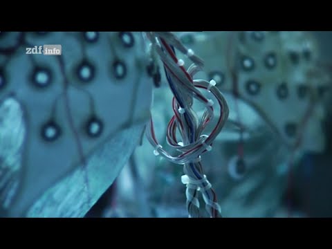 hitec: Verrechnet - Die Anatomie des Irrtums