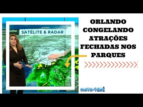 COLD WEATHER CLOSES ATTRACTIONS IN ORLANDO PARKS