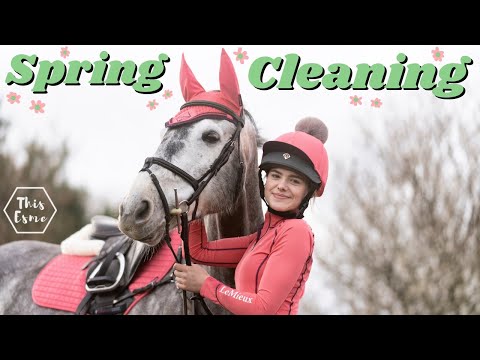 Spring Cleaning the Whole Stables! This Esme AD
