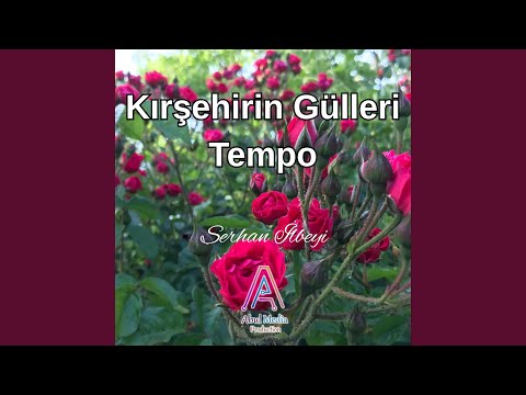 Kırşehirin Gülleri