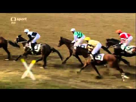 2015.10.11 Cena společnosti VCES a.s. - Cena Labe - Hegnus