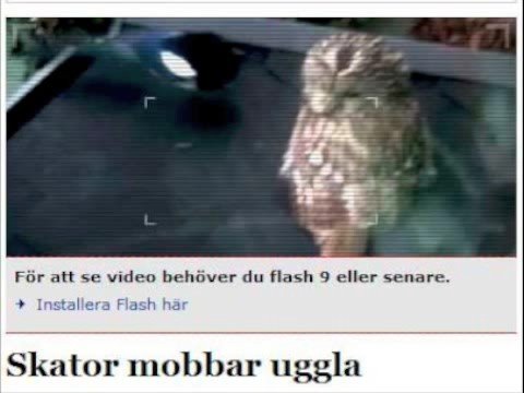 Doktor Kosmos - Högstadiepersonerna