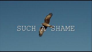 Sandra - Such A Shame (NG Remix)
