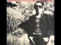 Graham Parker - Black Honey