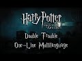 Harry Potter Double Trouble In Different Languages
