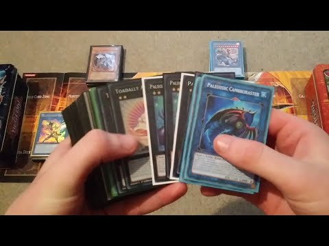 Yu-Gi-Oh Deck Profile: Paleozoic