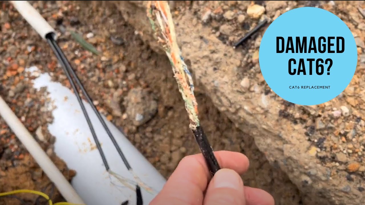 Open Registered Cabler replacing damaged underground Cat6 cables and re-terminating at a school in Lilyfield, Sydney — restoring internet connectivity to the facility
