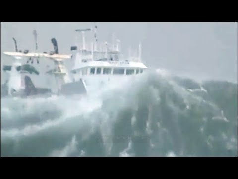 download lagu mp3 mp4 Wild Sea, download lagu Wild Sea gratis, unduh video klip Wild Sea