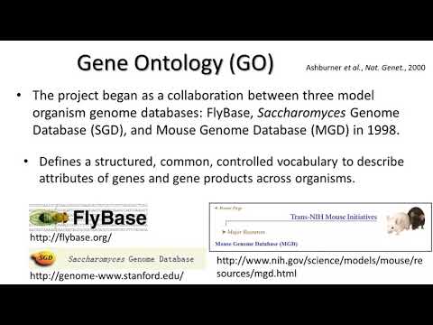 Week 10.1.1 Ontology and Gene Ontology (Ontology, Gene Ontology and KEGG Pathway Database)