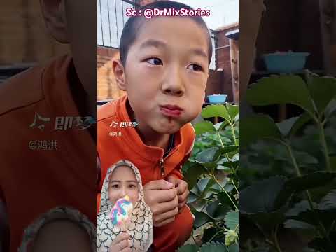 Adik Diam Diam Makan Stroberi Di Kebun Mama 🍓😍 @DrMixStories