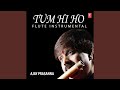 Tum Hi Ho - Flute Instrumental