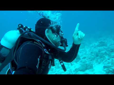 Ile des Pins 2018 dia 4, segundo dia de mergulho
