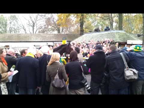 Kauto Star in the Betfair Chase winners enclosure