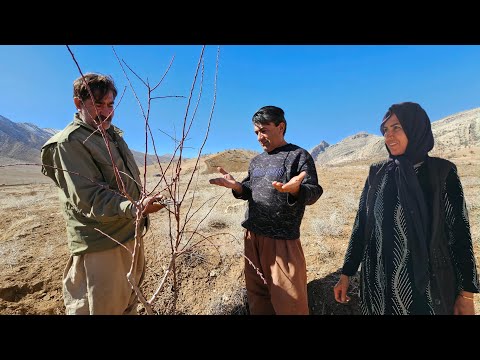 Our Biggest Wish: Will we get the permits we need to build our new home? - Home Building