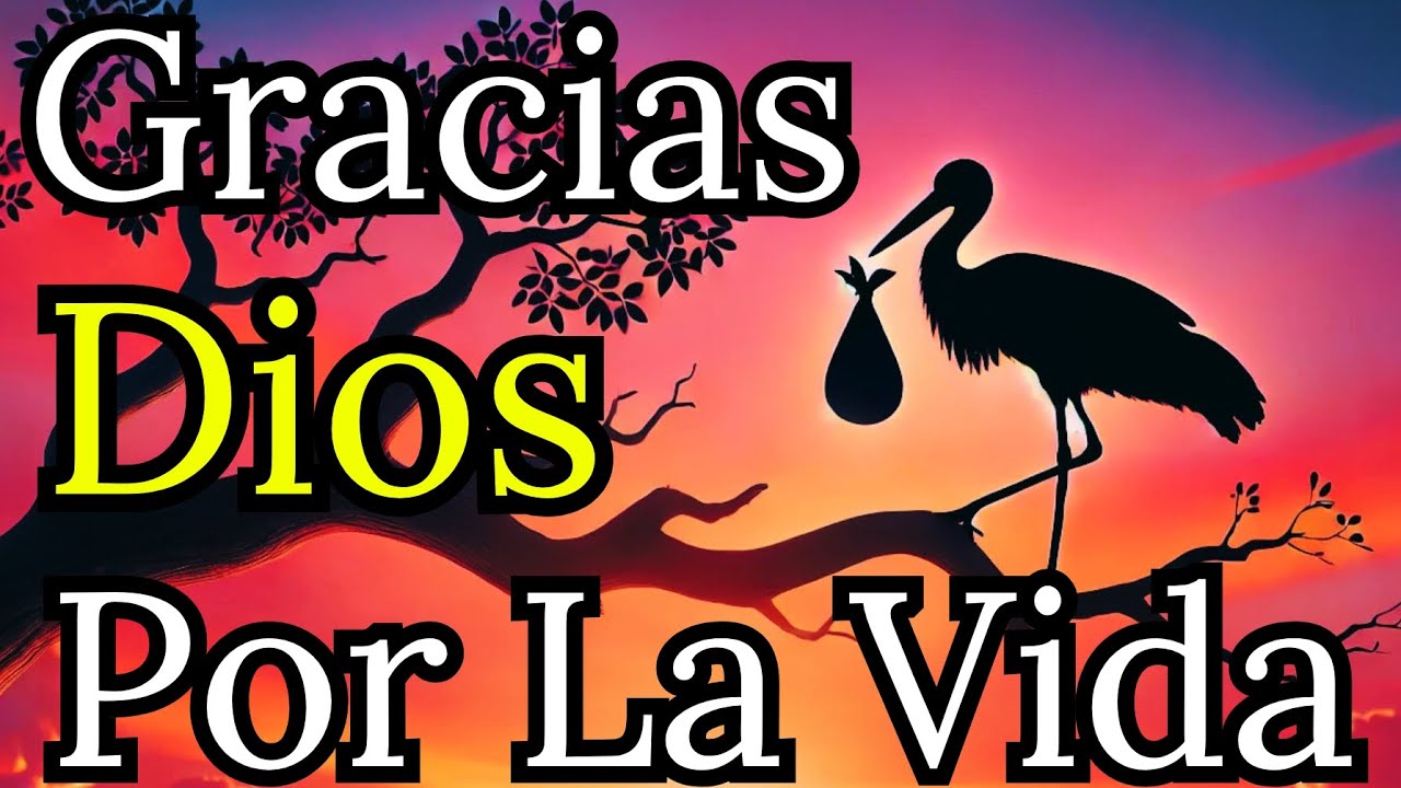 🍁 "Dios, Gracias por un Día Más para Sentir Tu Amor y Tu Presencia" | Reflexión, Oración, Fé, Biblia