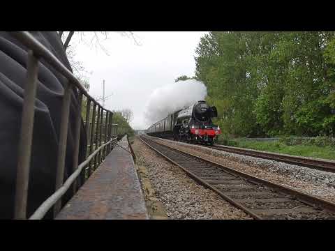 The Flying Scotsman Devon Cornwall tour.
