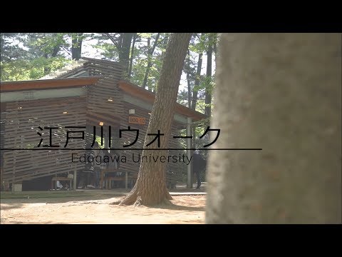 2019年4月 江戸川ウォーク（BBQ編）